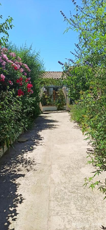 Secret Garden - Chez Gilles Et Tra - Maison D Hote -T2 Super Mignon, Neuf Et Independant , Dans Cadre Agreable Et Zen Valergues Exteriör bild